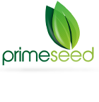 Primeseeds